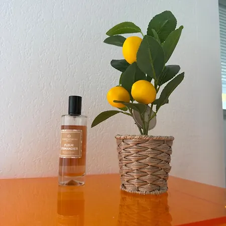 Lemon Sea Apartamento Menton